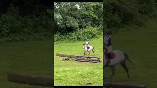He loved xc so much!! #horse #equestrianworld #horses #equestrian