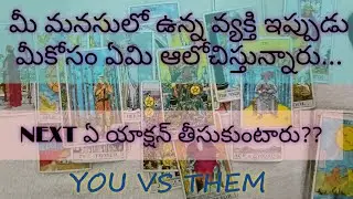 💌మీ మనసులో ఉన్న వ్యక్తి ఇప్పుడు మీకోసం ఏమి ఆలోచిస్తున్నారు?నెక్స్ట్ ఏ యాక్షన్ తీసుకుంటారు?? 🖤