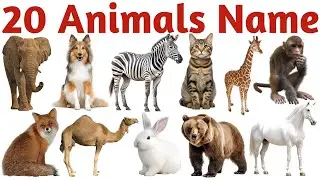 Animals Names in English for Kids | Learn Animals Vocabulary for Toddlers & Preschool |