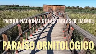 PARQUE NACIONAL DE LAS TABLAS DE DAIMIEL.