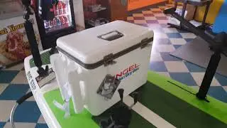 BIC SUP Fish Cross