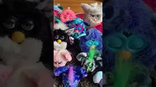 Furby!!! { #furby #furbyboom #furby2012 #hasbro #collection #therian #antizoo #furry #silly }