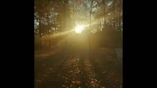 Figure This Thing Out-Harmony Version