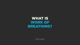 Seaview 180&deg; V3 Full Face Snorkel Mask - Work of Breathing