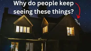 It Landed On The Roof--One That Crawled And One That Flew