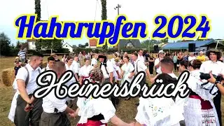 Hahnrupfen in Heinerbrück 2024 / Böser Sturz #brauchtum #tradition