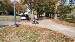 Google Bike Environment Training & Life Experience Home Raised Professional Trained Doberman
