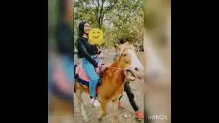 at Bogamati picnic spot//short video//