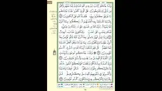سورة البقرة |الصفحة 14| الآية مكررة ٥ مرات بصوت الحصرى #البقرة #الحصرى #Quran #Albaqra
