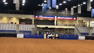 Gunner Fence 72 PreFuturity Amarillo 2018