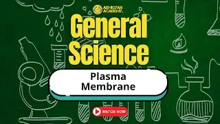 Plasma Membrane | General Science | Structure and Functions Explained