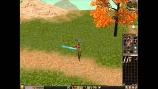 Duel Metin2