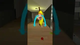 Bananacat With Friends #gmod 😺🍌