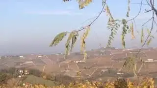 A walk in the heart of Langhe - Unesco World Heritage - Visit Piemonte