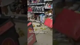 Schafe gehen bei Penny einkaufen 😂 #funny