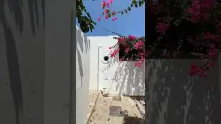 Panarea Island in Italy - Heavenly Extravaganza