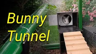 Building a tunnel system for rabbits