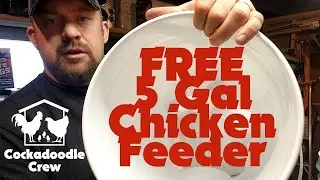 FREE Chicken Feeder! - 5 Gal Bucket - Only 10 min Project! Beginner Coop Supplies