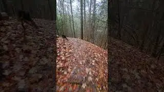 Hiking the Bruce Trail at Hockley Valley Provincial Park #nature