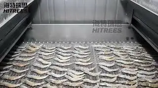 Shrimp and Fish Quick Freezing