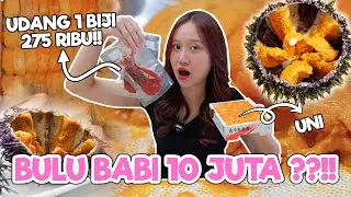 NYOBAIN MAKAN UNI LANGSUNG DARI JEPANG & UDANG CARABINEROS !!