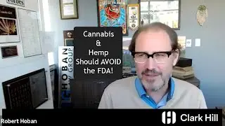 Cannabis & Hemp Should AVOID the FDA!