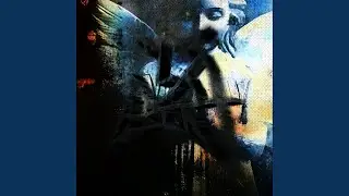 X NIGHT