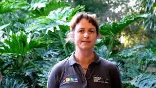 Kerry Mclean explains the Green Coast Award