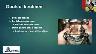 B&B Live! Equine health essentials: Equine dentistry & Internal parasite control