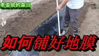 【家庭菜园Vegetable garden】如何铺好地膜