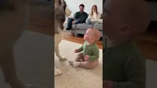 Baby Acting Cute Gone Viral #baby #funny #cute #shorts