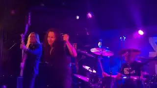 STARGAZER - Live