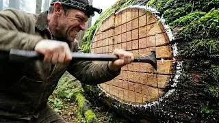 Building a Secret Forest Base (ASMR) &mdash; Turning a Giant Hollow Log into a Home