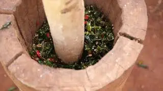 How do chillies protect crops from elephants? 🌶️ 🐘