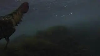 Pebbly Beach Rock Lobsters