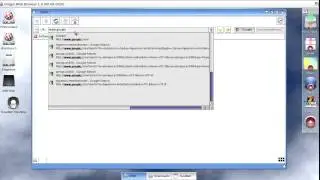 MUI OWB Web Browser on Amiga X1000 with OS4.1