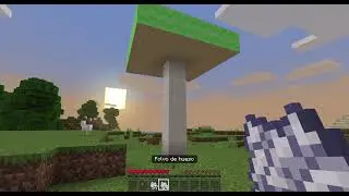 Project Ateneu Test Mushrife (mushroom)