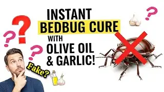 Do DIY METHODS and HOME TREATMENTS Really KILL BEDBUGS...?!