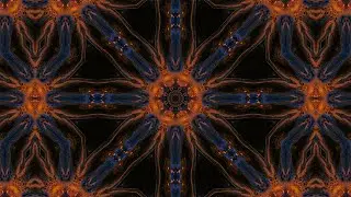 Everything is Connected ☯ Terence McKenna