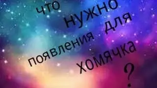 ЧТО НУЖНО ДЛЯ ПОЯВЛЕНИЯ ХОМЯЧКА?|ChipLife