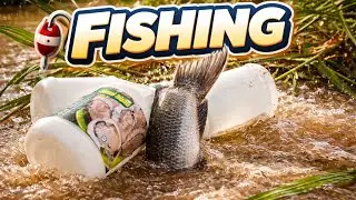 Smart Bottle Trap Fishing | Amazing Hand Fishing in Village Water