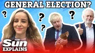 Will Boris Johnson call a general election?