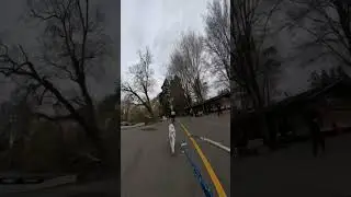 How We Pass Dogs While Bikejoring