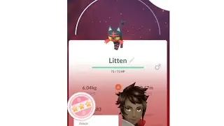 I GOT A HUNDO LITTEN IN FIELD RESEARCH😱😱😱