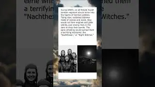 The Night Witches: The Female Pilots Who Terrified an Army