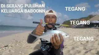 MANCING PINGGIRAN PANTAI PANDAWA BIKIN TEGANG #castingpinggiran #minnow killer, minnow astuti