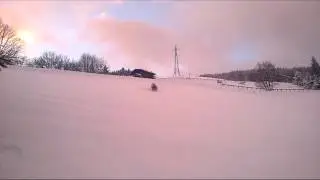 Hypnos an Alskan Malamute - Running in the snow