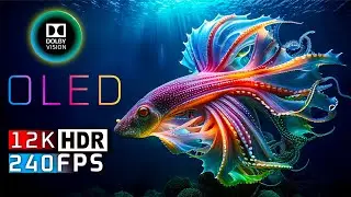 Ocean Colors in 12K HDR Ultra HD | Stunning Ocean Life with Relaxing Music 120 FPS | Dolby Vision