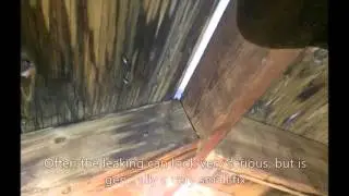Ridge Vent Leak in Roof