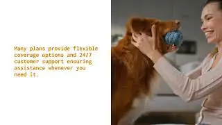 Pet Insurance Explained! Why Pet Healthcare is So Expensive?